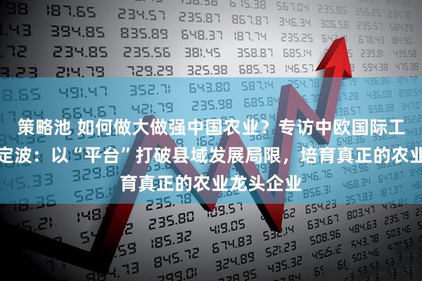 策略池 如何做大做强中国农业？专访中欧国际工商学院许定波：以“平台”打破县域发展局限，培育真正的农业龙头企业
