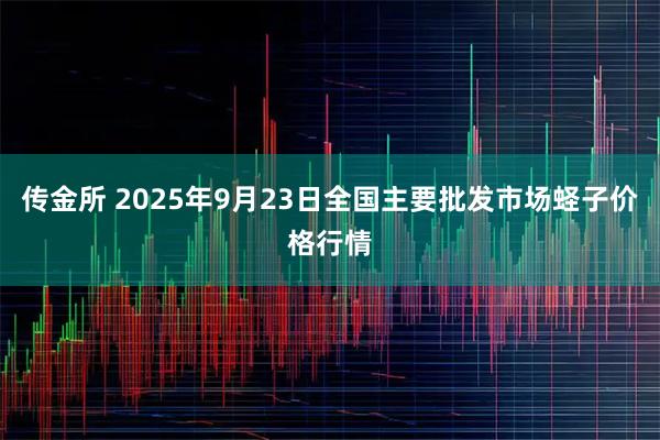 传金所 2025年9月23日全国主要批发市场蛏子价格行情