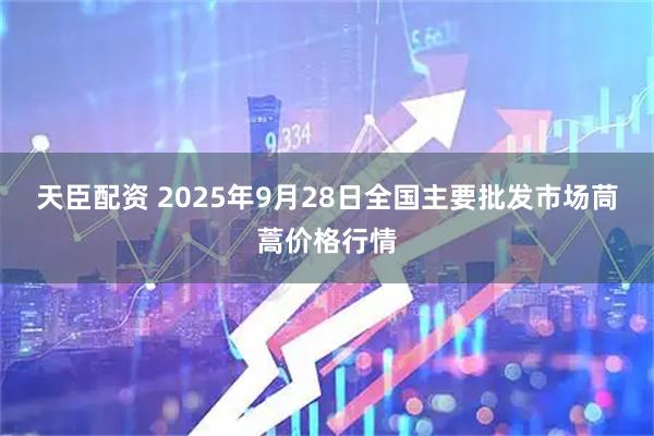 天臣配资 2025年9月28日全国主要批发市场茼蒿价格行情