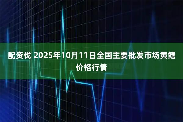 配资伐 2025年10月11日全国主要批发市场黄鳝价格行情