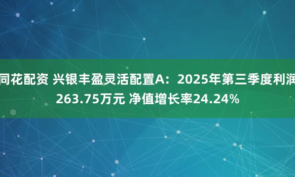 同花配资 兴银丰盈灵活配置A：2025年第三季度利润263.75万元 净值增长率24.24%