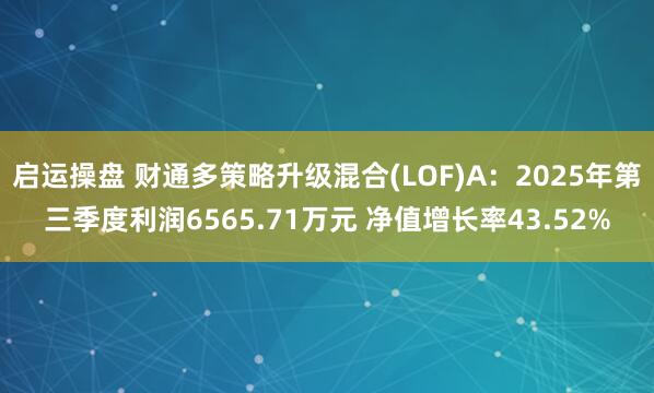 启运操盘 财通多策略升级混合(LOF)A：2025年第三季度利润6565.71万元 净值增长率43.52%