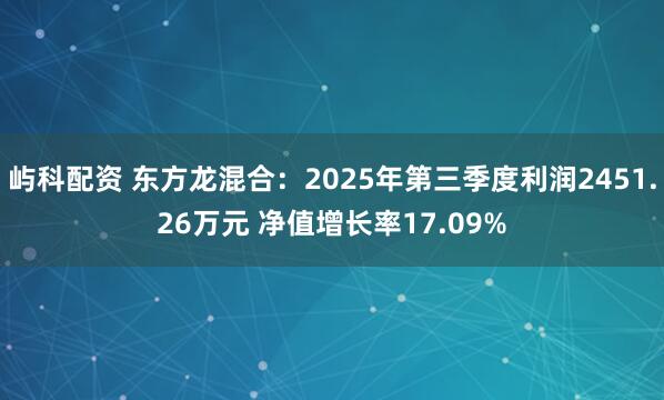 屿科配资 东方龙混合：2025年第三季度利润2451.26万元 净值增长率17.09%