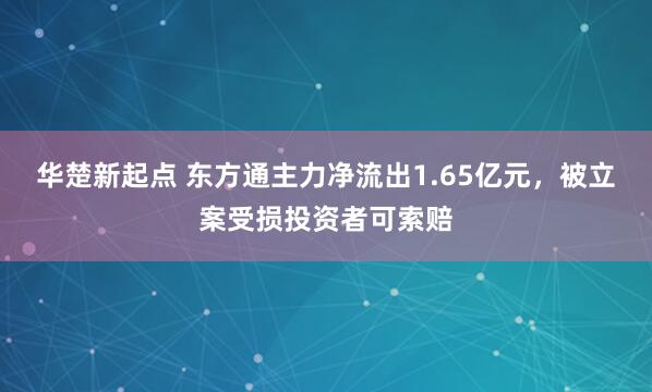 华楚新起点 东方通主力净流出1.65亿元，被立案受损投资者可索赔