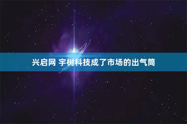 兴启网 宇树科技成了市场的出气筒